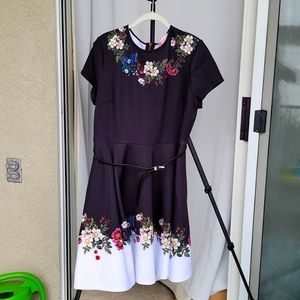 Ted Baker BNWT Oracle Skater Dress